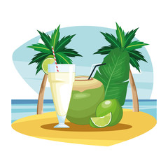 coconut beverage icon