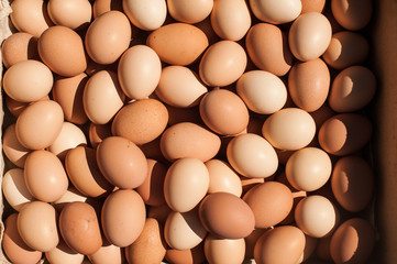 Lots of eggs in a crate. Easter preparation. Brown chicken egg background.