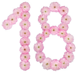 Numeral 18, eighteen, from natural pink flowers of almond tree, isolated on white background