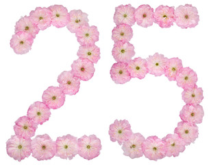 Numeral 25, twenty five, from natural pink flowers of almond tree, isolated on white background