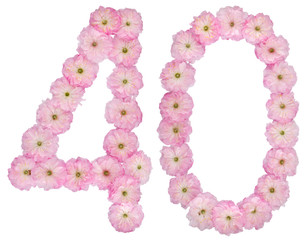 Numeral 40, forty, from natural pink flowers of almond tree, isolated on white background