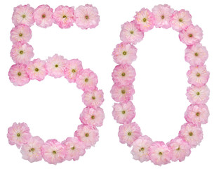 Numeral 50, fifty, from natural pink flowers of almond tree, isolated on white background