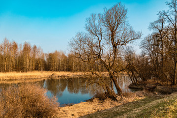 Beautiful winter view near the Grieshaus-Isar-Moos-Bavaria-Germany