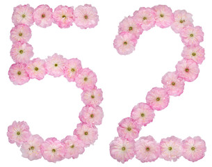Numeral 52, fifty two, from natural pink flowers of almond tree, isolated on white background