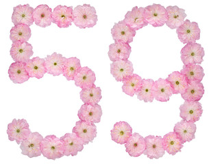 Numeral 59, fifty nine, from natural pink flowers of almond tree, isolated on white background