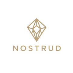Fototapeta premium Diamond Jewellery Logo Design Vector Template