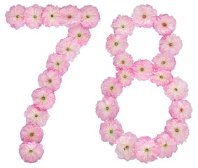 Numeral 78, seventy eight, from natural pink flowers of almond tree, isolated on white background