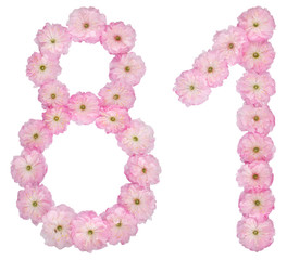 Numeral 81, eighty one, from natural pink flowers of almond tree, isolated on white background