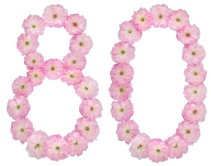Numeral 80, eighty, from natural pink flowers of almond tree, isolated on white background