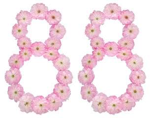 Numeral 88, eighty eight, from natural pink flowers of almond tree, isolated on white background