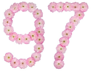 Numeral 97, ninety seven, from natural pink flowers of almond tree, isolated on white background