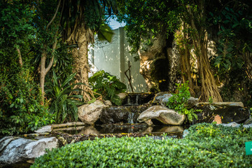 Fototapeta na wymiar background image of tropical jungle, trees and waterfall on a sunny day.
