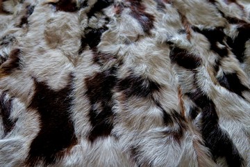 natural fur gray white with black stripes
