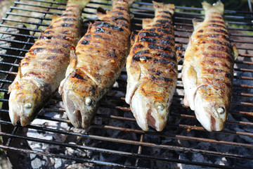 Forellen auf dem Grill