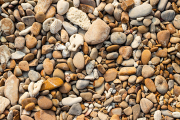 Stone gravel, beach area stone gravel several colors and coral fragments at have shape rounded round caused because of sea waves make give objects bump together all the time cause beauty naturally.