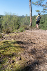 Dahnerfelsenland pfalz