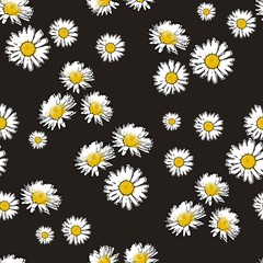 Beautiful floral seamless pattern with daisies on the black background vector