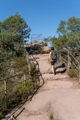 Dahnerfelsenland pfalz