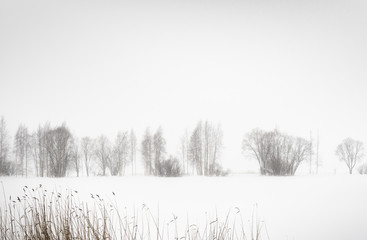 Lake landscape in winter