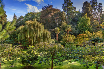 Obraz premium Powerscourt park, Ireland