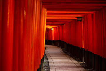Fototapeta premium 稲荷大社 京都 鳥居
