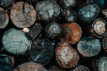 Naklejka premium Background of stacked logs,logs.Ecological method of heating.