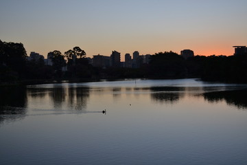 Fototapeta na wymiar Ibirapuera Park