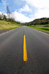 Bright, Sunny Country Road in California