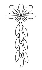 Obraz premium A branch of a beautiful barberry berry, a medicinal plant. Useful berries in medicine for cooking. Graphic image. Vector illustration.