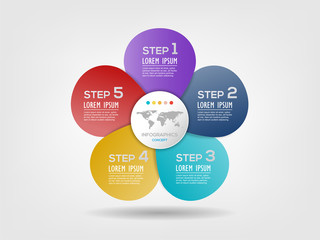 Flower shape chart infographic template with 5 options for presentations, business, layouts, reports. Vector illustration.