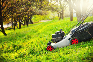 Gardening care, mowing trim green grass on lawn hill with lawnmower.