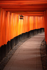 Fototapeta premium Red Torii gates in Fushimi Inari shrine