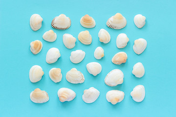 Set seashells on blue paper background. Top view Template for your design