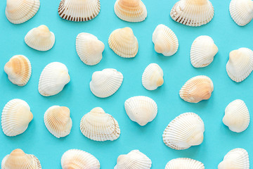 Set seashells on blue paper as background or texture. Top view Template for your design