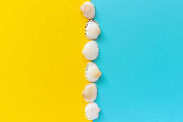 Vertical line seashells on yellow and blue color paper background in minimal style Copy space Template for lettering, text or your design Creative Flat lay Top view.