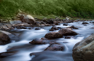 stream in the forest