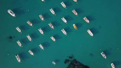 Flying up from boats