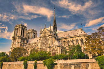 Fototapeta na wymiar Full view of Notre Dame of Paris (France)