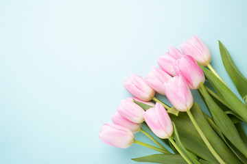 Greeting card with pink tulips.