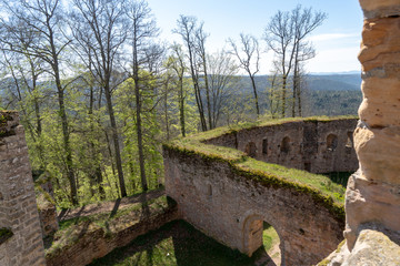 Pfalz Burg Gräfenstein