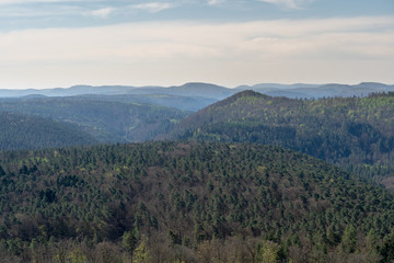 Pfalz Burg Gräfenstein