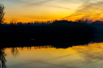 Obraz premium Carp fishing