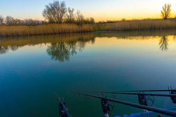 Carp fishing