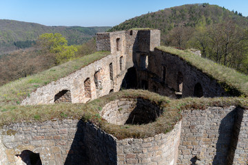 Obraz premium Pfalz Burg Gräfenstein