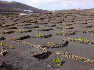 LANZAROTE    iles canaries