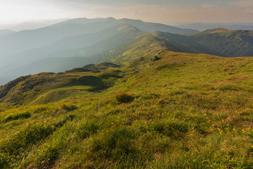 Mountain scenery in the Ukrainian Carpathians in the summer with a tourist in the background of the sunset