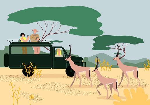Tourists Driving Jeep on Safari in Africa. Savanna