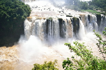 paisaje de las cataratas de Iguazú