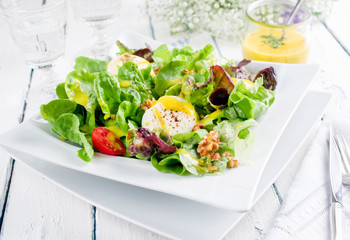 Traditioneller deutscher Sommer Salat mit Blattsalat, Ziegenküse und Mango Dressing als closeup...