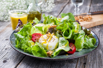 Traditional Germen summer lettuce with curled lettuce, goat cheese and mango dressing as closeup on a plate on a well laid table